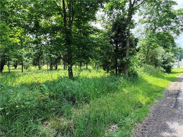 Land for sale in Ohio