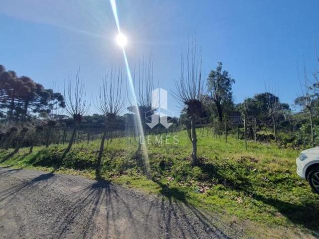 Sítio e chácara venda em Vale dos Vinhedos, Bento Gonçalves