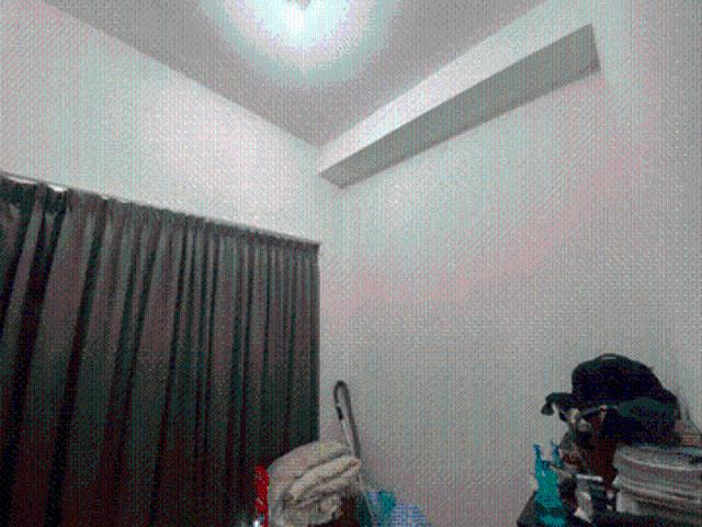 House for rent in Langat, Selangor