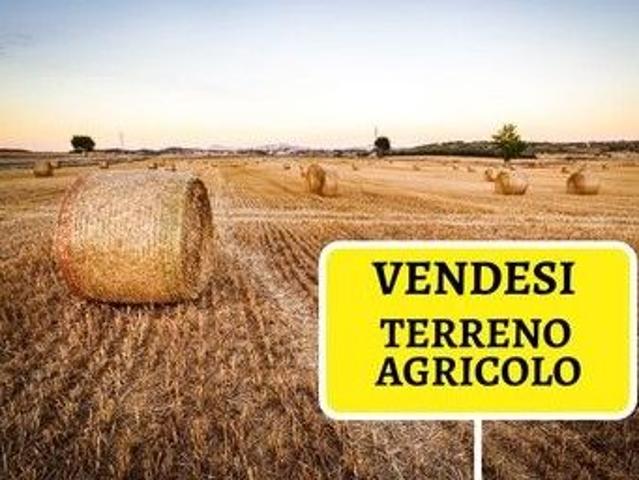 Terreno in vendita a Rovigo, Veneto
