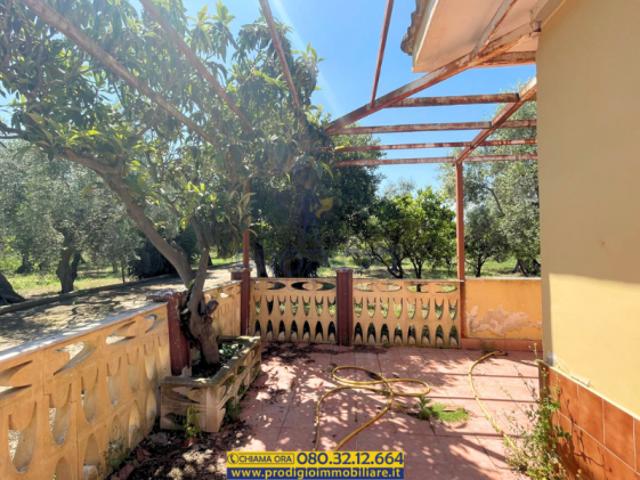 Terreno in vendita a Puglia, Bari