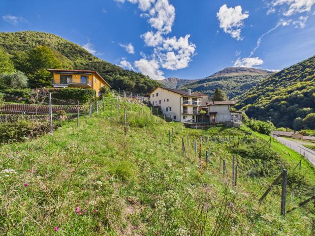 Immobilie kaufen in Canedo, Monteceneri