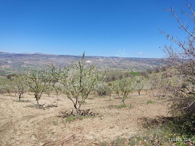 Osmancik, Çorum içerisinde satılık Arsa