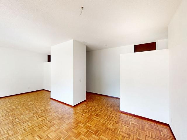 Apartment mieten in Bellinzona, Tessin