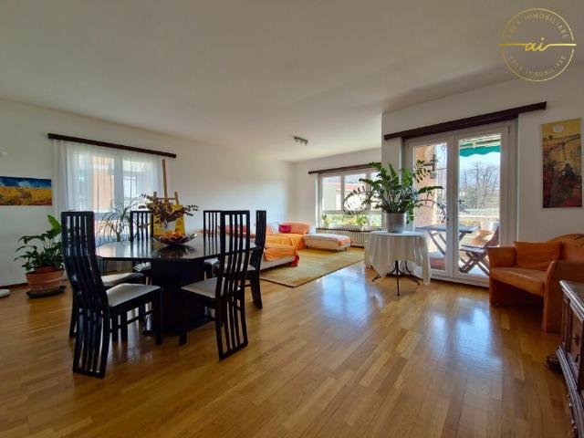 Wohnung kaufen in Massagno, Tessin