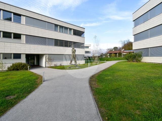 Apartment kaufen in Aldesago, Tessin