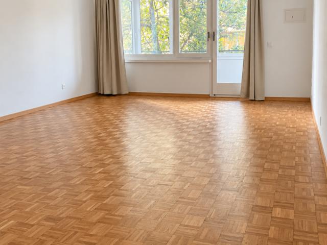 Apartment mieten in Molino Nuovo, Lugano
