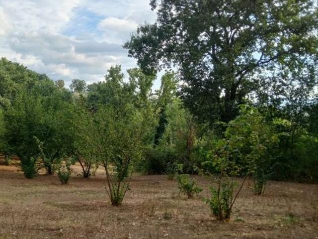 Terreno in vendita a San Potito Ultra, Campania