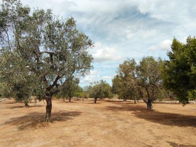 Terreno in vendita a Puglia, Lecce