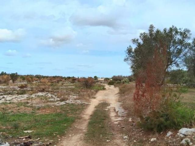 Terreno in vendita a Puglia, Lecce
