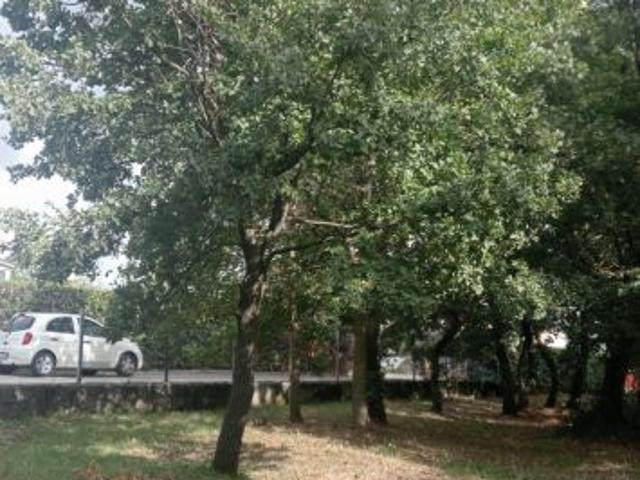 Terreno in vendita a Montaperto, Montemiletto