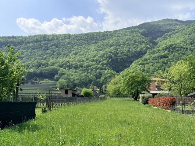 Immobilie kaufen in Riva San Vitale, Tessin