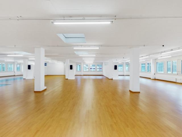 Atelier mieten in Magadino, Tessin