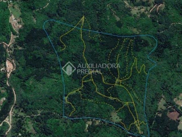 Terreno venda em Região Geográfica Imediata de Caxias do Sul, Canela
