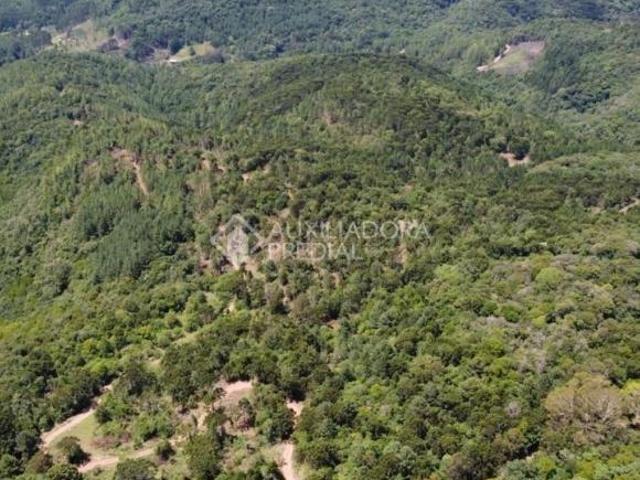 Terreno venda em Região Geográfica Imediata de Caxias do Sul, Canela