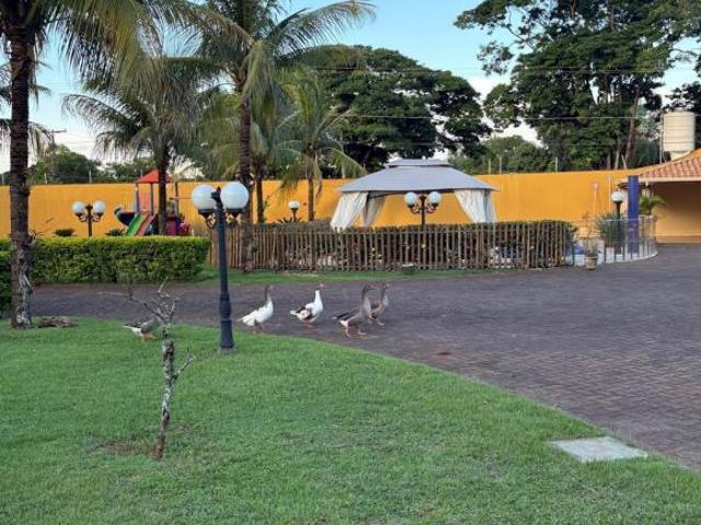 Sítio e chácara venda em Região Imediata de Ribeirão Preto, Região Metropolitana de Ribeirão Preto