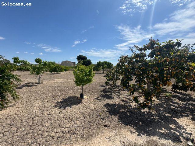 Casa en venta en el Baix Segura / La Vega Baja, Valencia