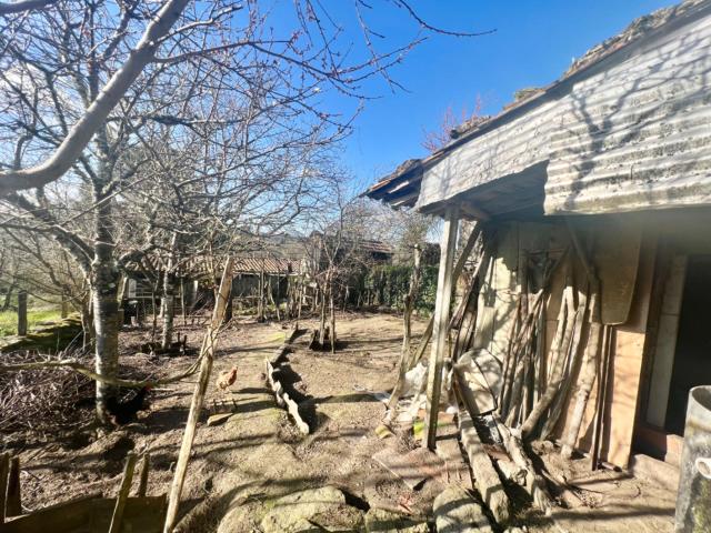 Casa en venta en Amoeiro, Ourense