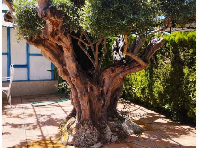 Villa en venta en Serranillos Del Valle