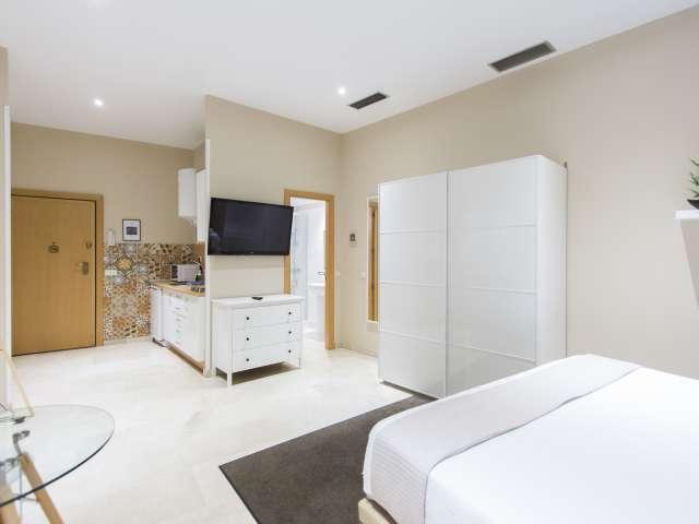 Estudio en alquiler en Madrid, Sol