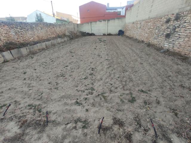 Terreno en venta en Alpera, Castilla-La Mancha