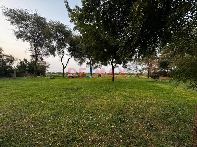 Terreno alquiler en Piura