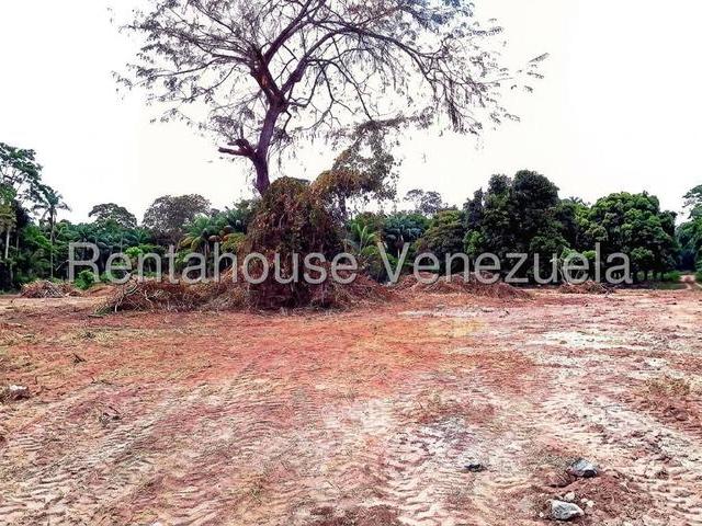 Terreno en venta en Candelaria, Valencia