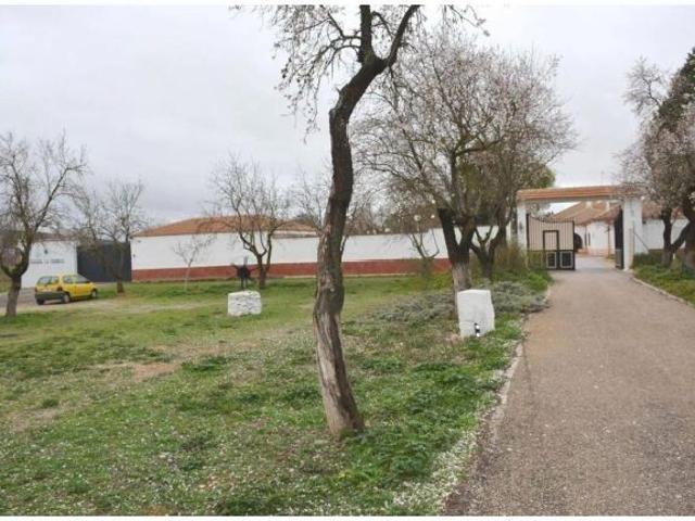 Local Comercial en venta en Pozuelo De Calatrava, Castilla-La Mancha