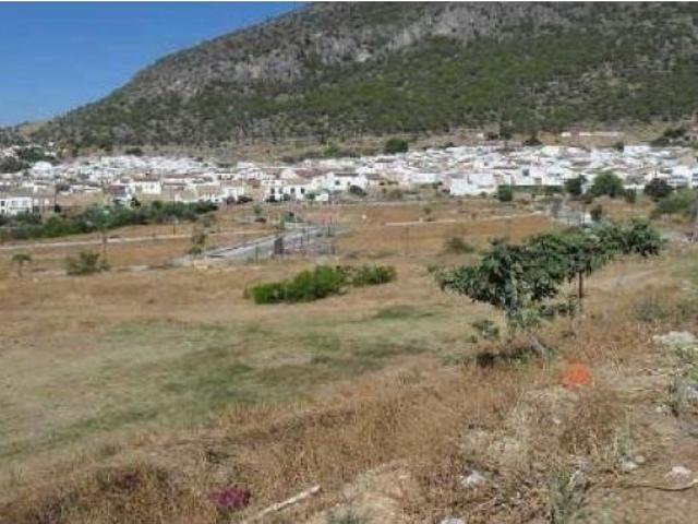 Local Comercial en venta en Sierra de Cádiz, Andalucía