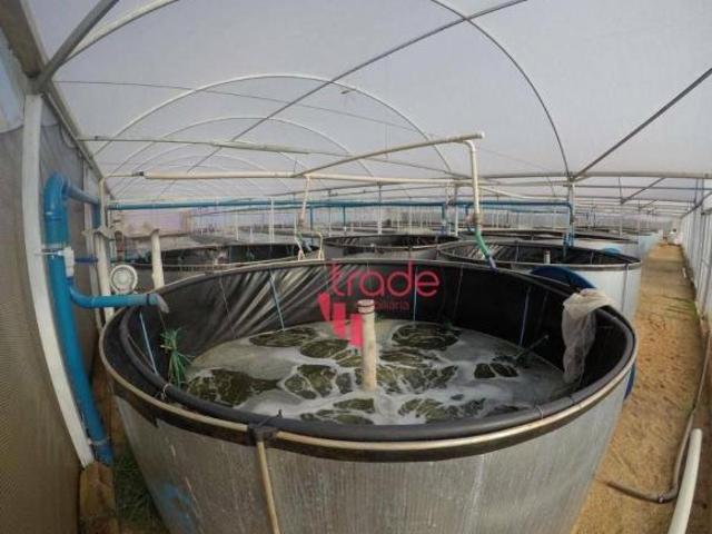 Sítio e chácara venda em Região Imediata de Ribeirão Preto, Região Metropolitana de Ribeirão Preto