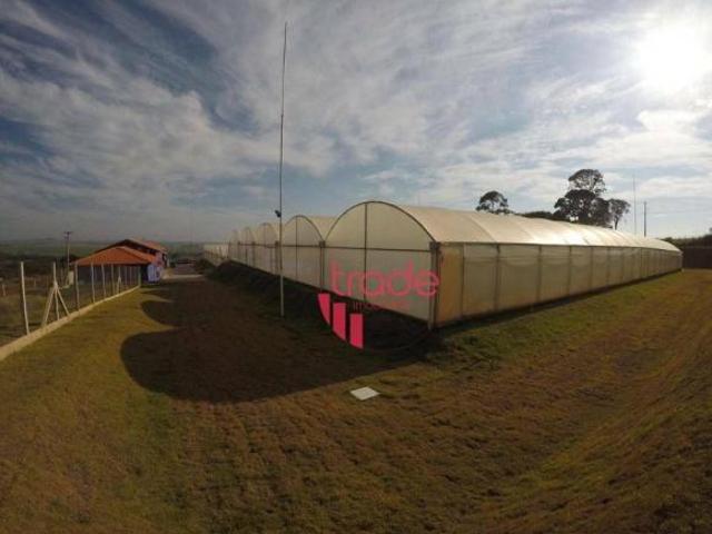 Sítio e chácara venda em Região Imediata de Ribeirão Preto, Região Metropolitana de Ribeirão Preto