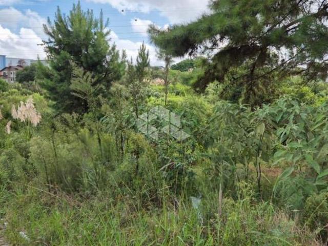 Terreno venda em Região Geográfica Imediata de Caxias do Sul, Farroupilha