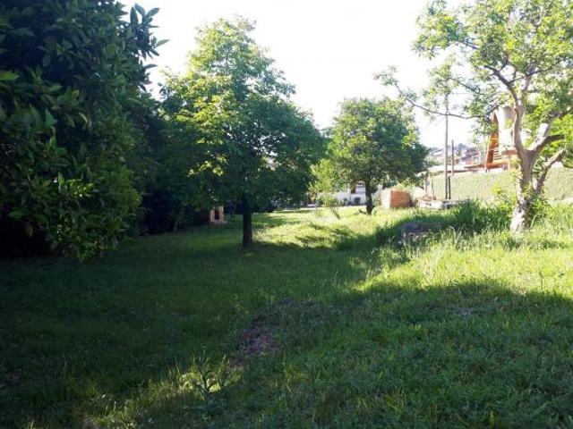 Terreno venda em Região Geográfica Imediata de Porto Alegre, Região Metropolitana de Porto Alegre
