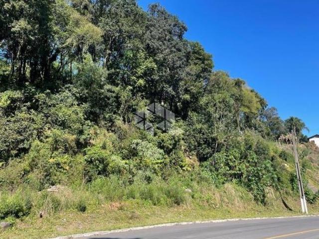 Terreno venda em Garibaldi