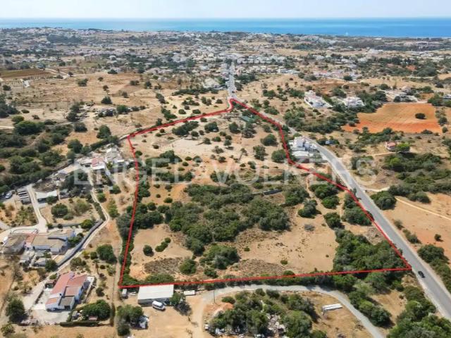Terreno venda em Guia, Quinta dos Álamos
