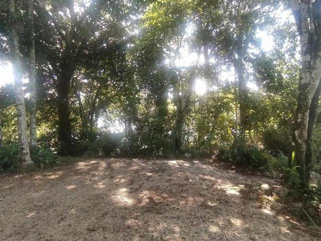 Terreno venda em Ubatuba