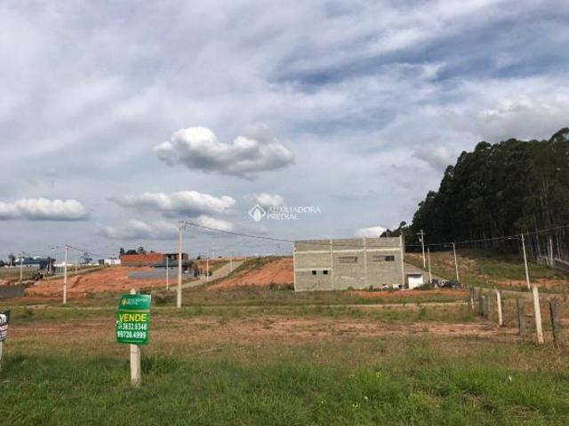 Terreno venda em Região Geográfica Imediata de Montenegro, Região Metropolitana de Porto Alegre