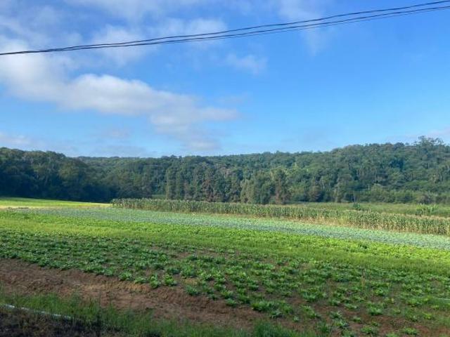Terreno venda em Capburgo, Ribeirão Pires