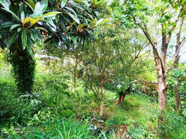 Terreno venda em Região Geográfica Imediata de Porto Alegre, Região Metropolitana de Porto Alegre