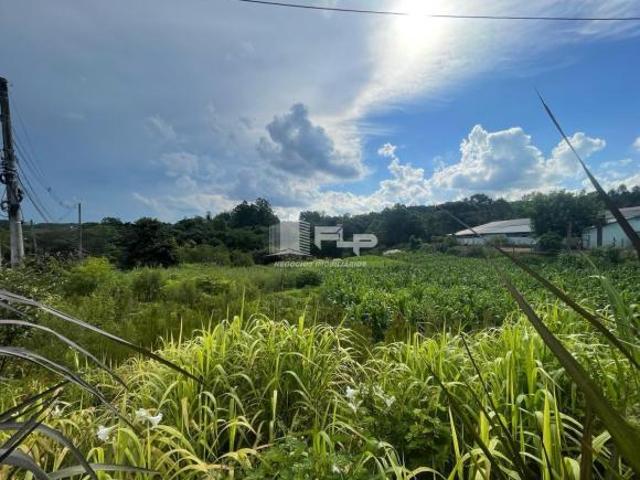 Terreno venda em Região Geográfica Imediata de Caxias do Sul, Alto Feliz