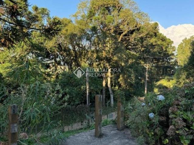 Terreno venda em Região Geográfica Imediata de Caxias do Sul, São Francisco de Paula