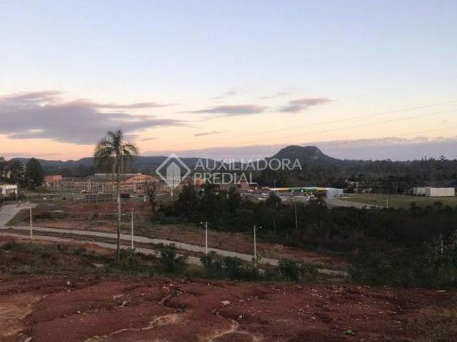 Terreno venda em Região Geográfica Imediata de Montenegro, Região Metropolitana de Porto Alegre