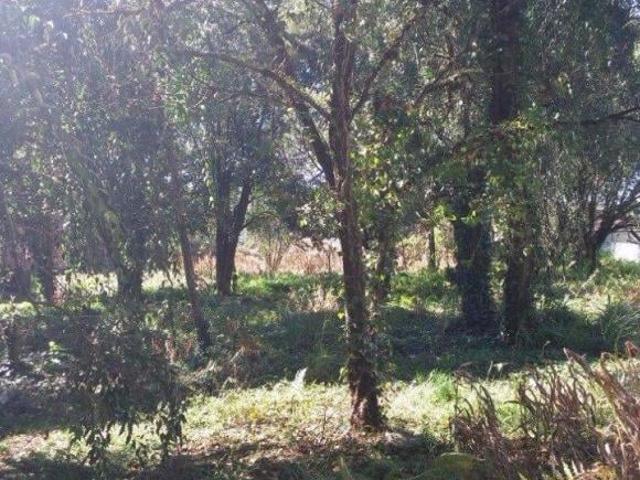 Terreno venda em Região Geográfica Imediata de Caxias do Sul, Canela