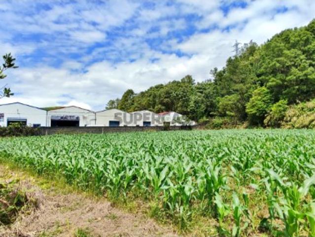 Terreno venda em Açores, Ribeira Grande