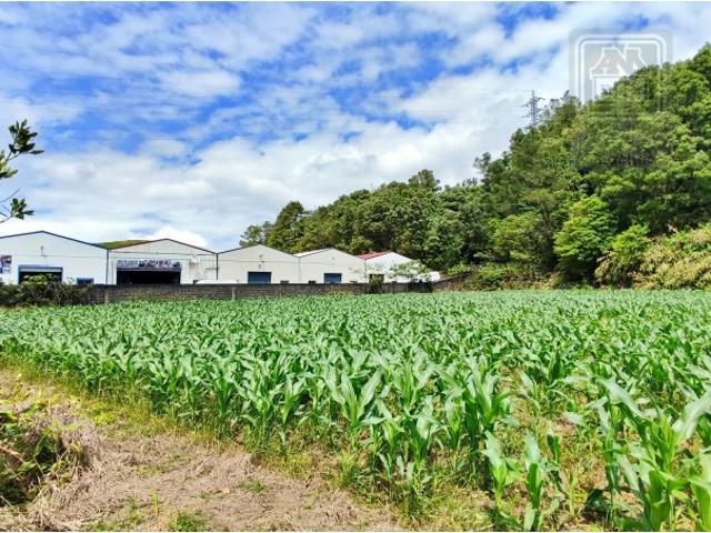 Terreno venda em Açores, Ribeira Grande