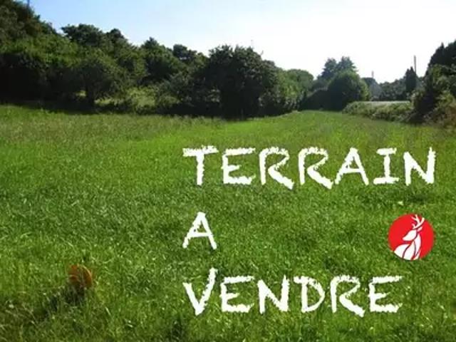 Terrain vente à Fontainebleau, Amponville