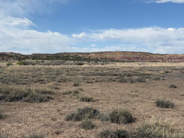Land for sale in Catron, New Mexico