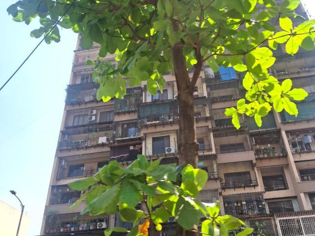 Flat for rent in Navi Mumbai, National Capital Territory Of Delhi