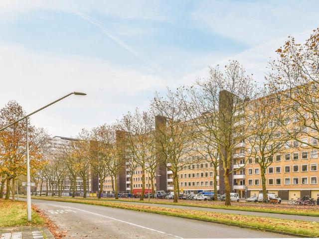 Appartement te huur in Zuid, Amsterdam