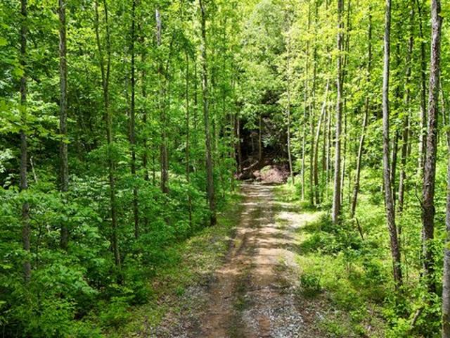 Land for sale in Leslie, Kentucky